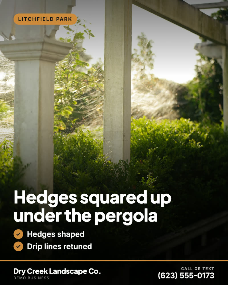 Job spotlight post for Dry Creek Landscape Co., a demo business: hedges squared up under a pergola