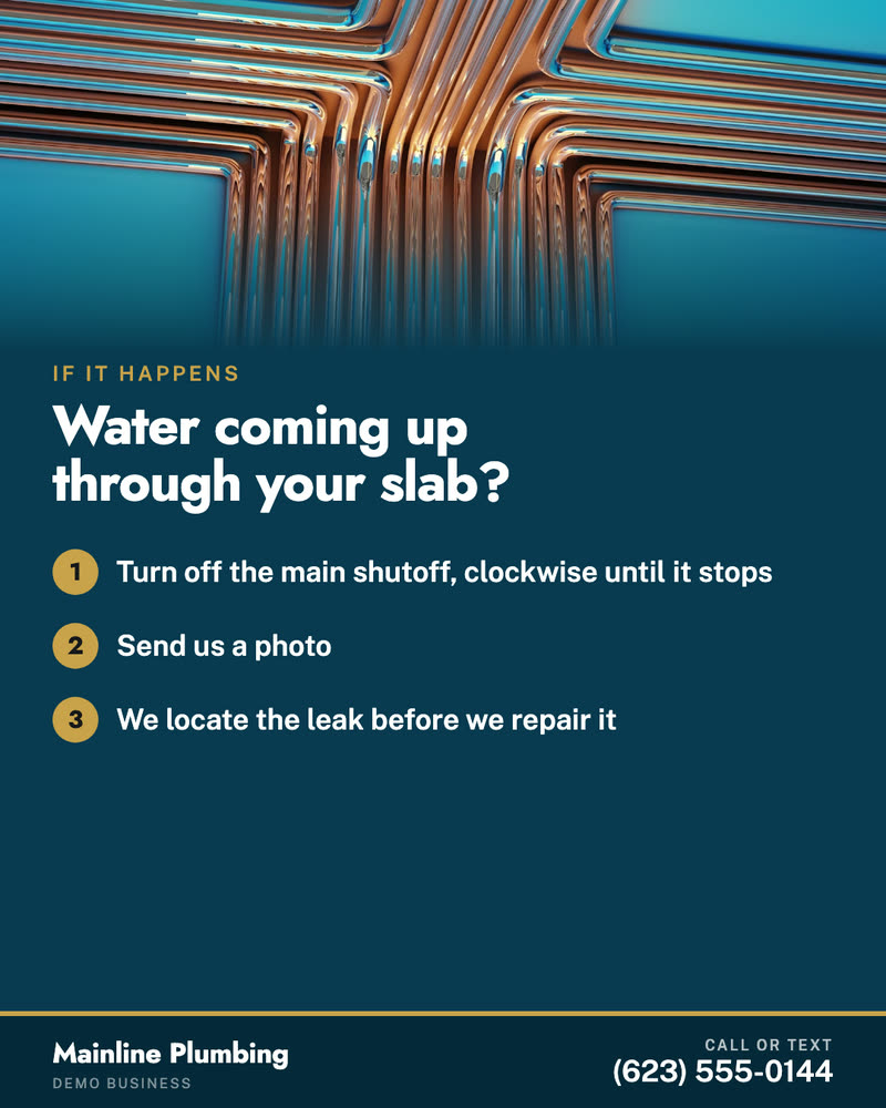 Checklist post for Mainline Plumbing, a demo business: water coming up through your slab